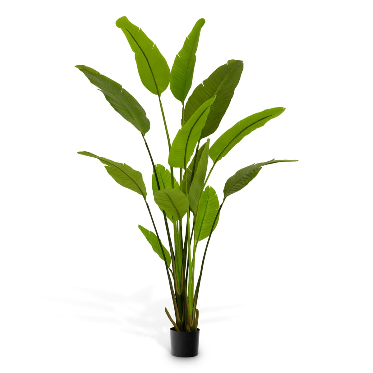 Eichholtz Artificial Plant Strelitzia M