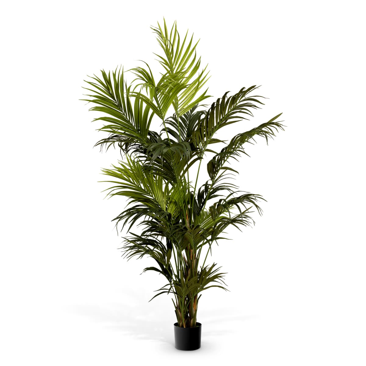 Eichholtz Artificial Plant Kentia Palm