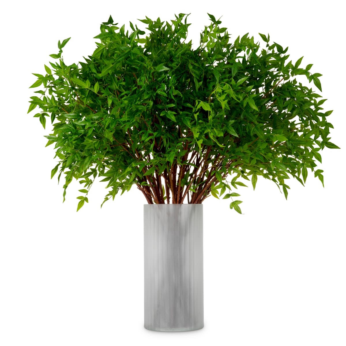 Eichholtz Bundle of Tender leaves 36 pcs