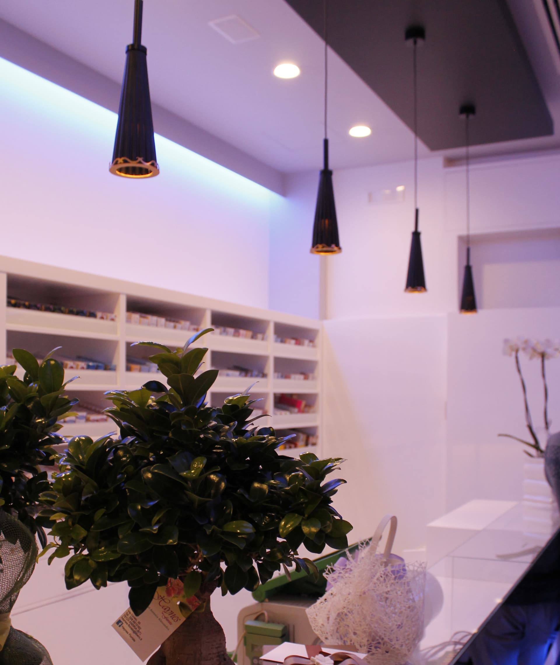 Euroluce Light of Italy Julienne Black&Gold S1