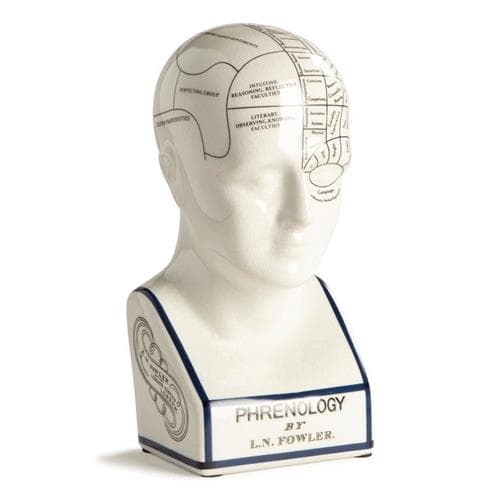 Authentic Models Phrenology Head