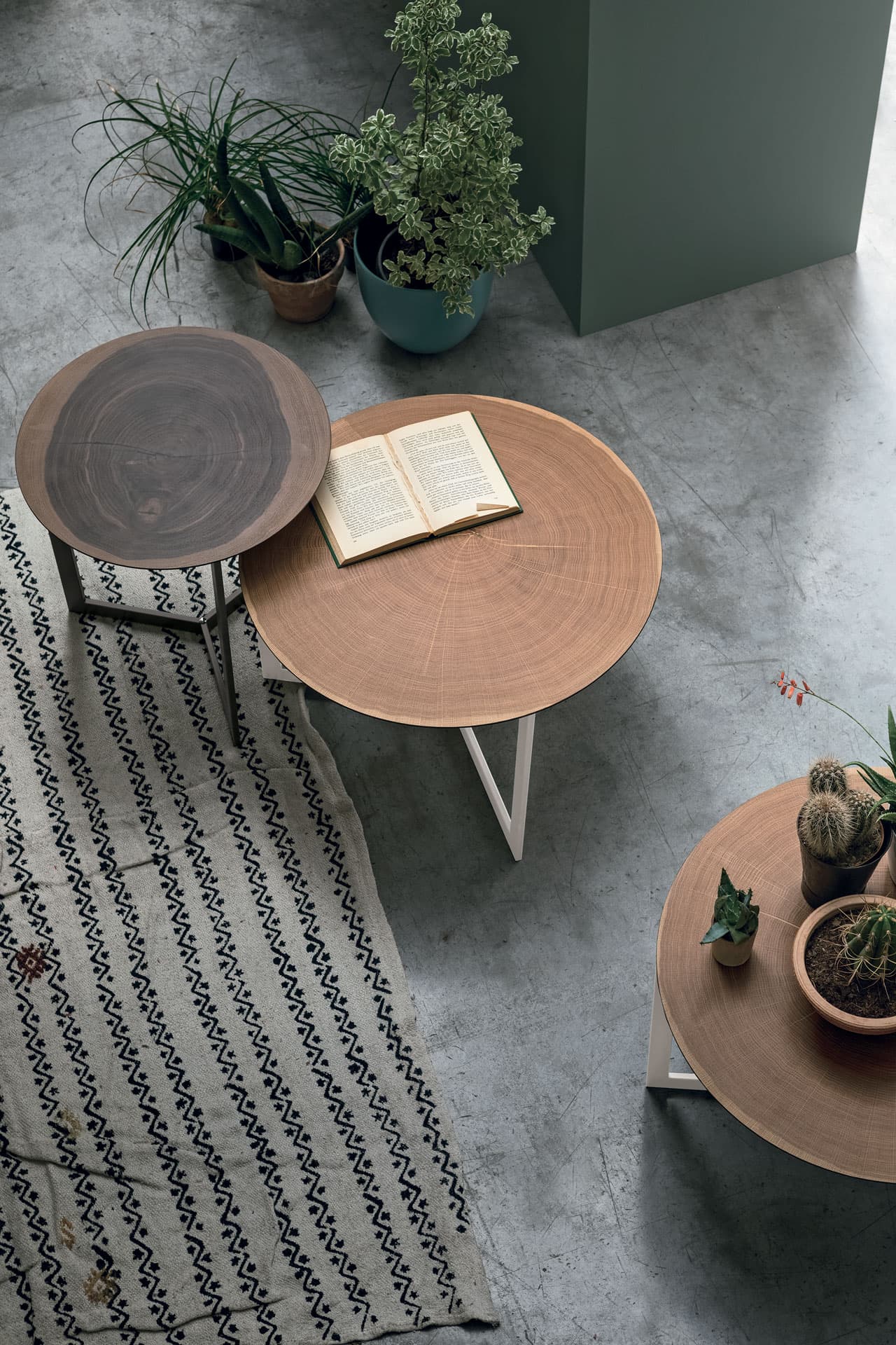 Tomasella Joy Wood coffee table coffee table