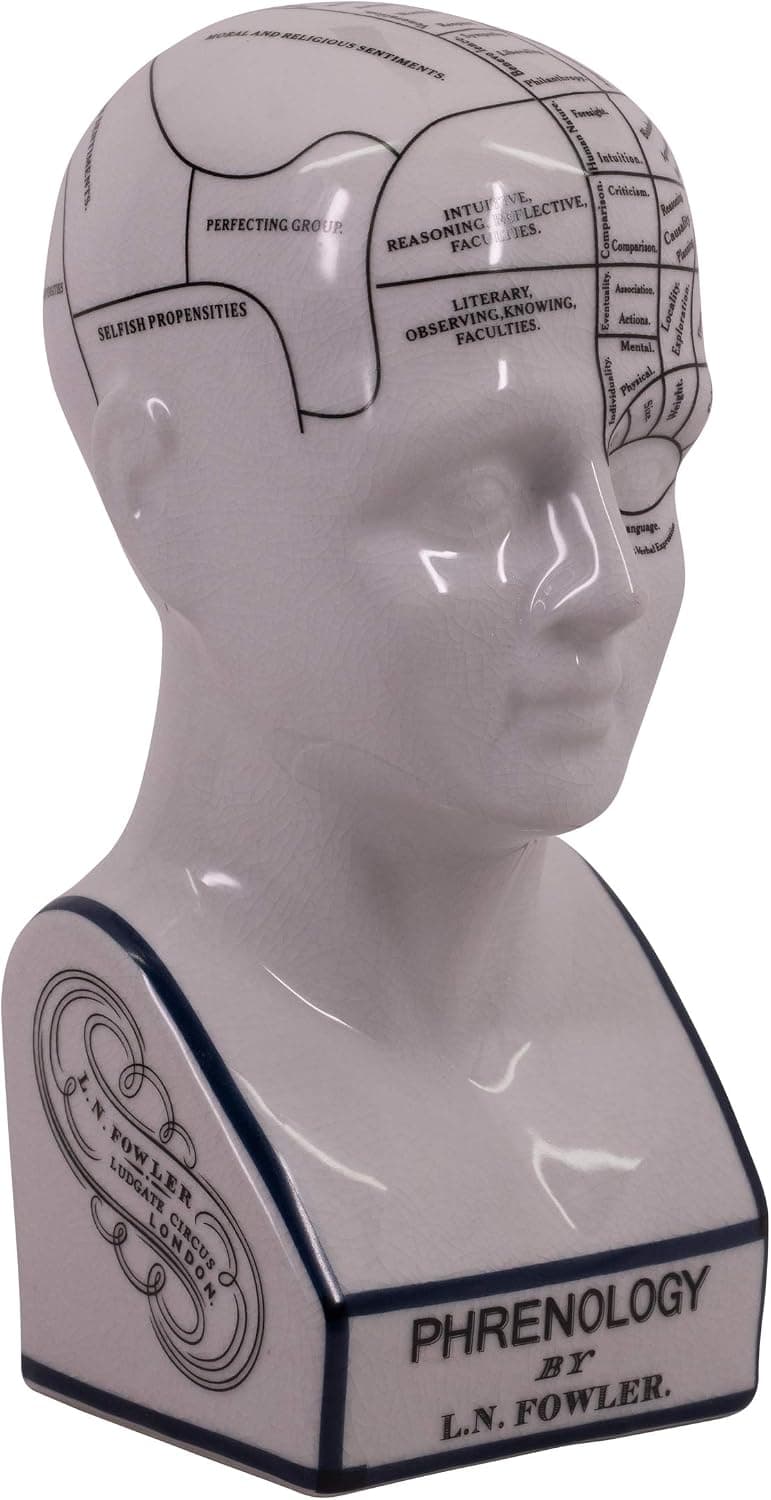 Authentic Models Phrenology Head Small